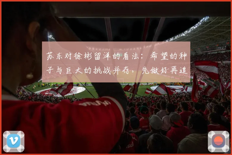 苏东对徐彬留洋的看法：希望的种子与巨大的挑战并存，先做好再追求完美